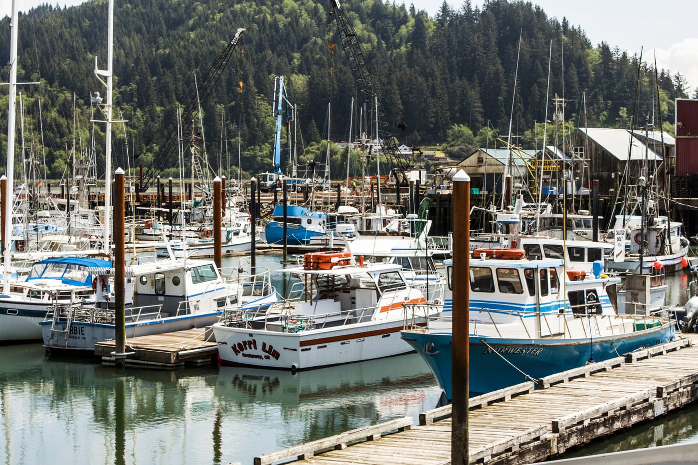 Fishing and charter boats in the Garibaldi marina, with forested hills behind
